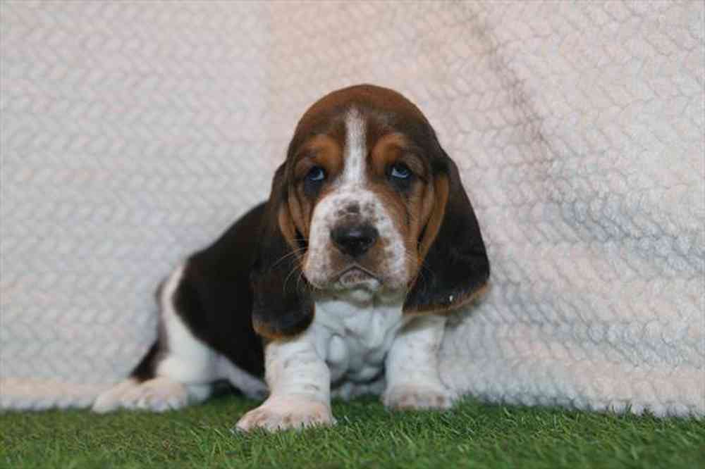 2942469c018a1ab-2769-4176-b1f7-1d617cf73074IMG_9472.JPG