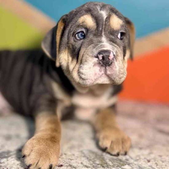 Tiny
