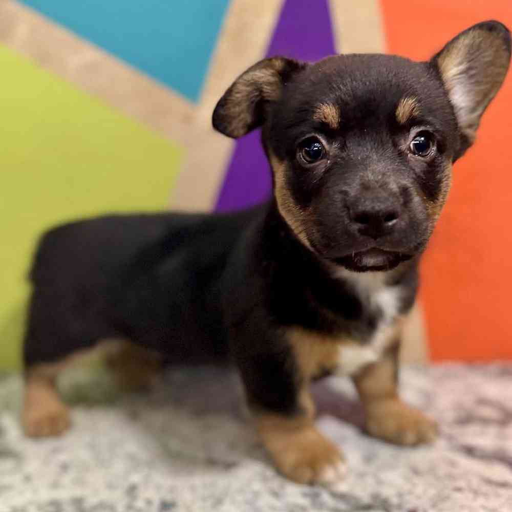 None