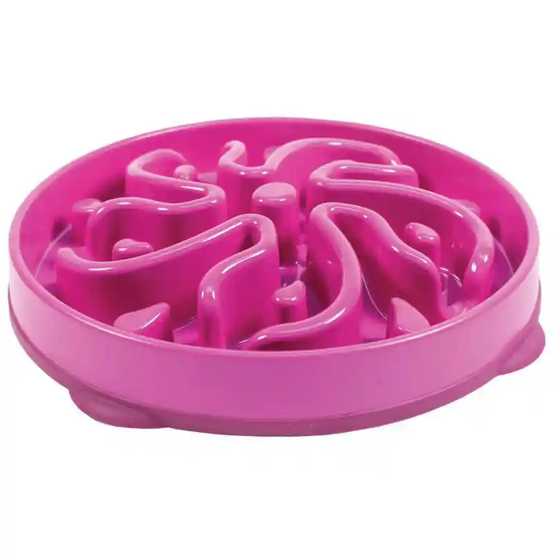 Slo-bowl Slow Feed Purple 5 Cu