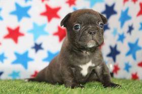 Frenchton