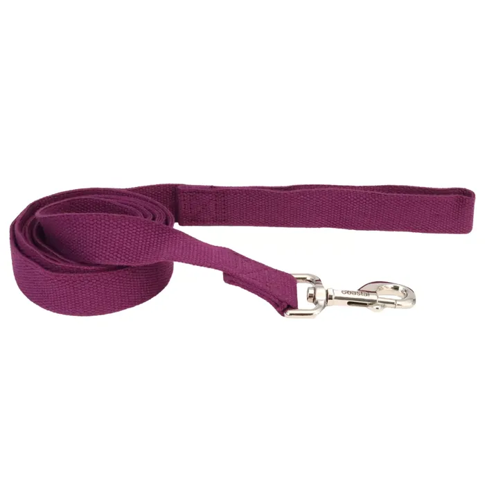 Dog Leash - Eggplant 5/8" X 06'