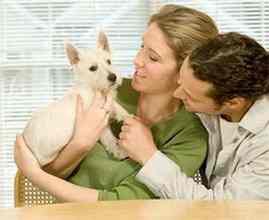 Two people holding a white puppy.