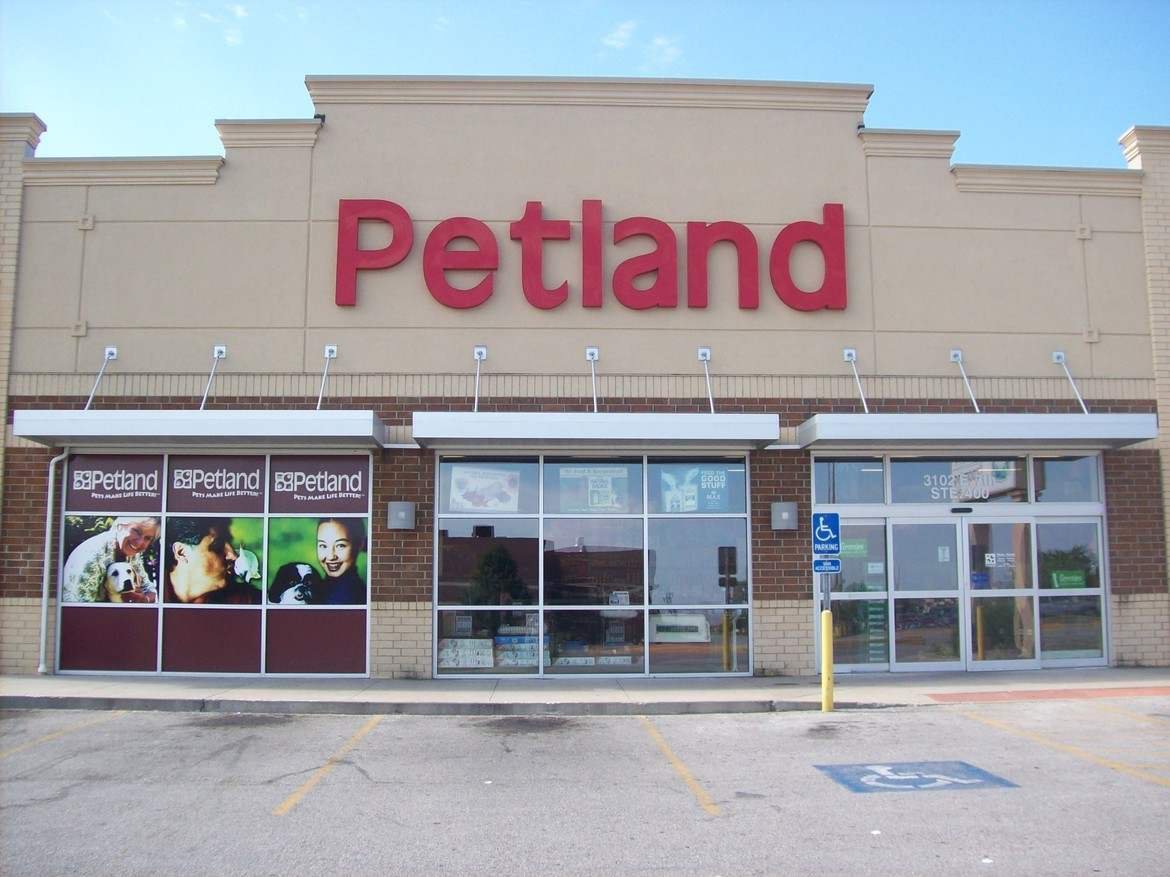 Stop by Petland in Fayetteville AR today